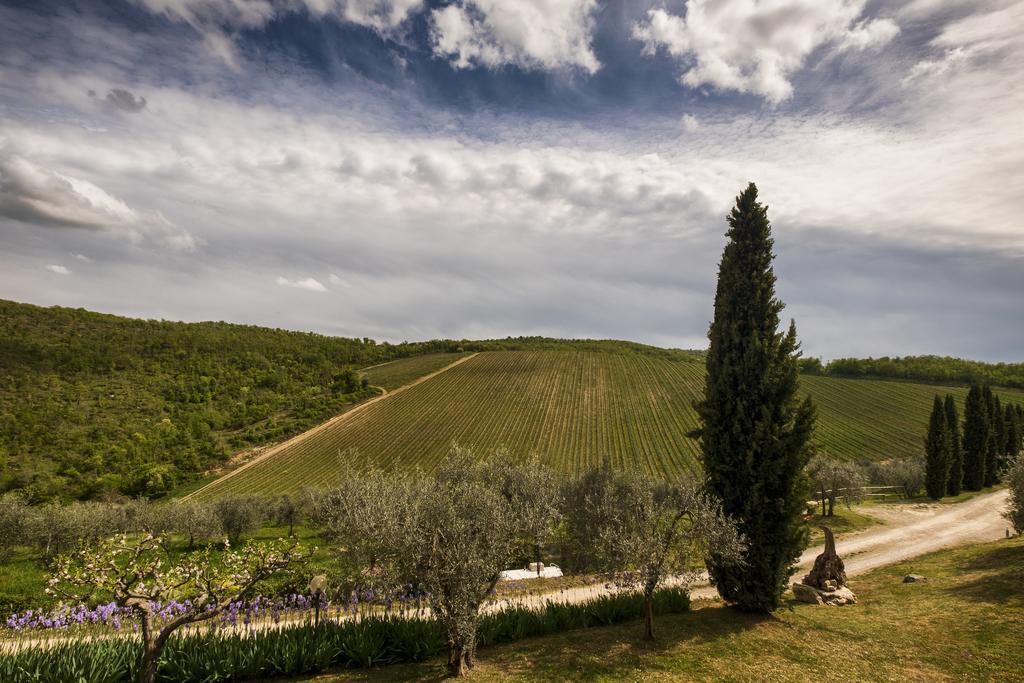 Querceto Di Castellina Villa Castellina in Chianti Buitenkant foto